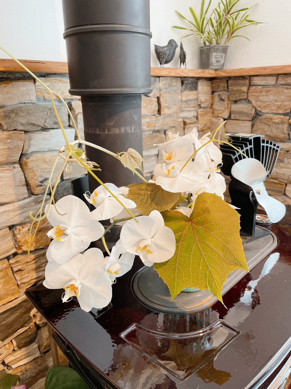 夏休みが明けました！ 画像