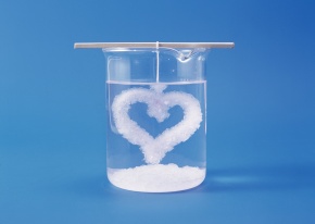 シロアリにはホウ酸 画像