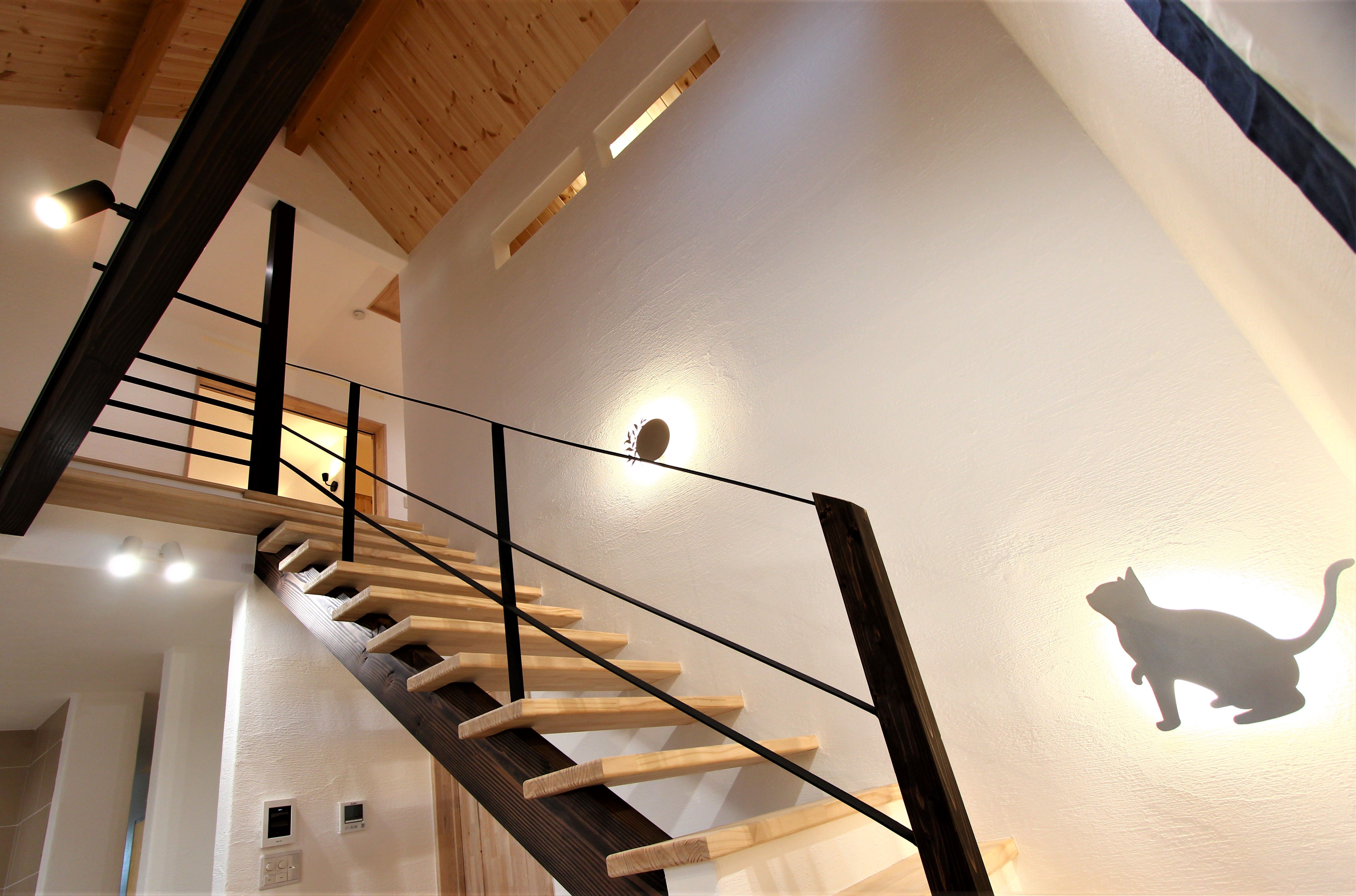 保護猫ちゃんたちのお家を探しています！ 画像