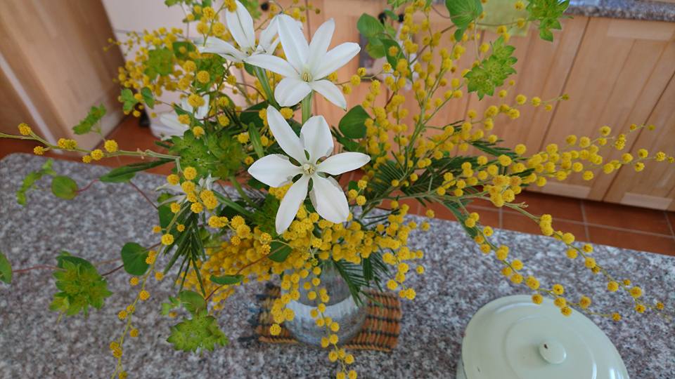 北上コンクオープンハウスお知らせ♬ 画像