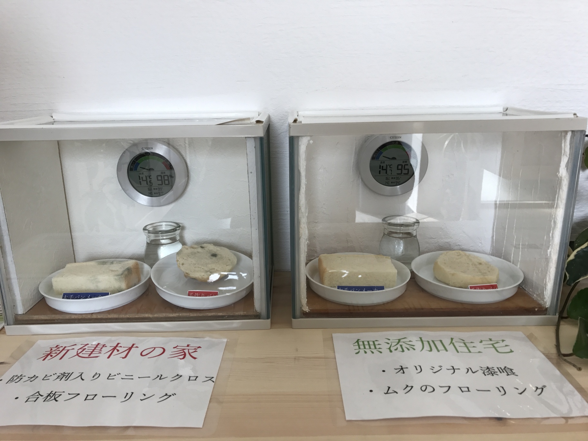 今月のイベントについて 画像