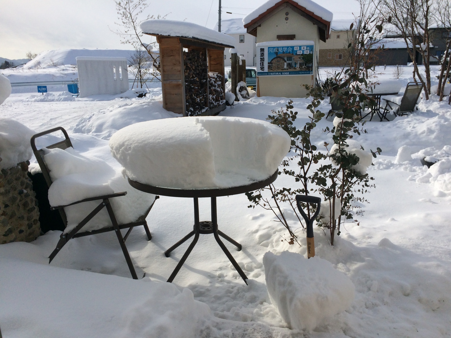 真っ白です！ 画像