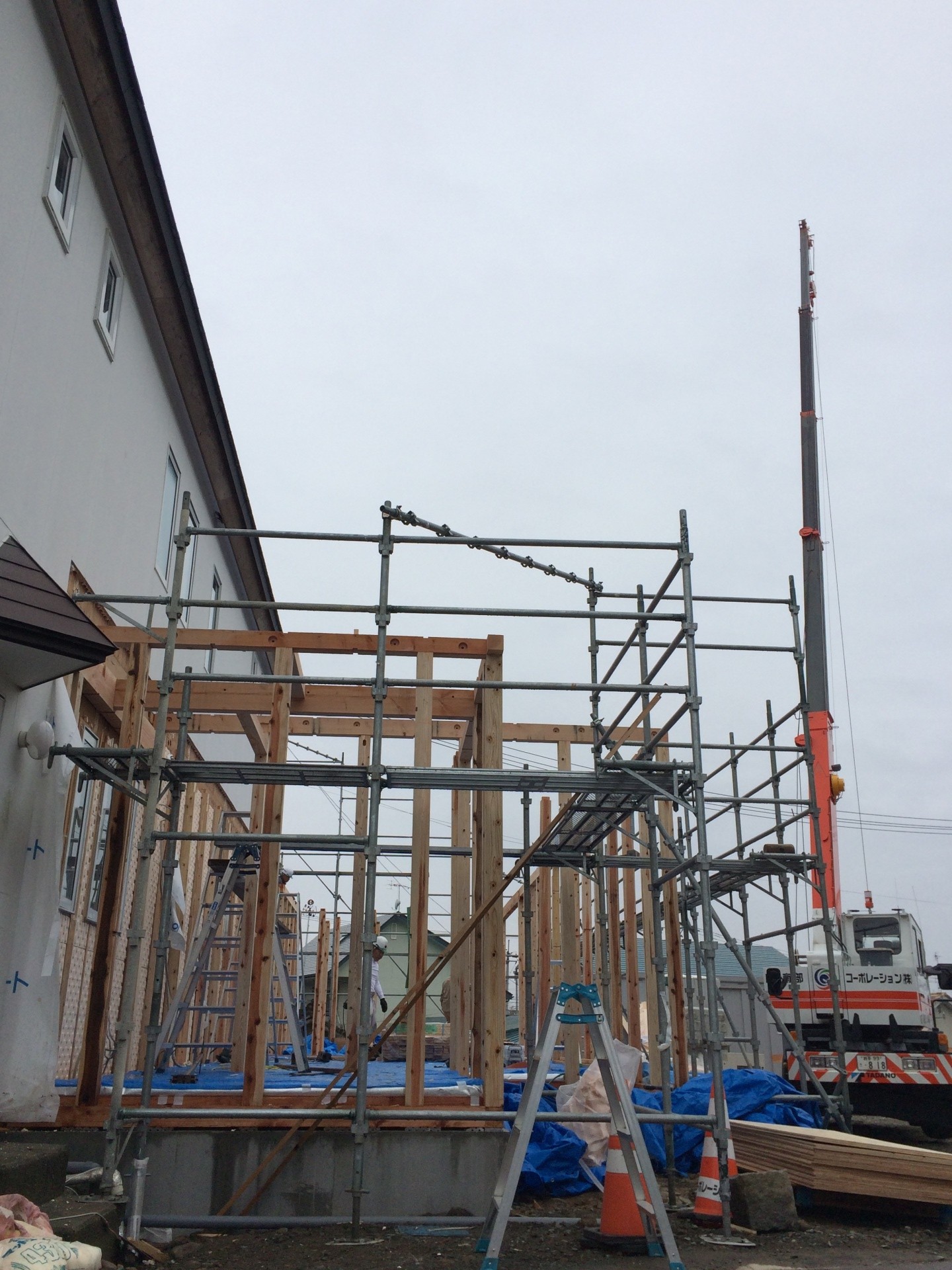 グリーン材を使った家を建てる 画像