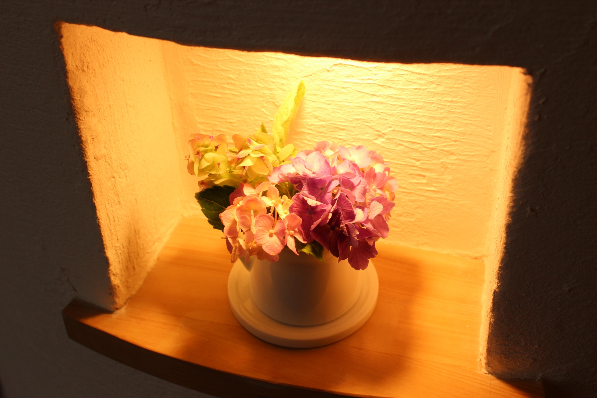 少し久しぶりのブログ更新です。 画像