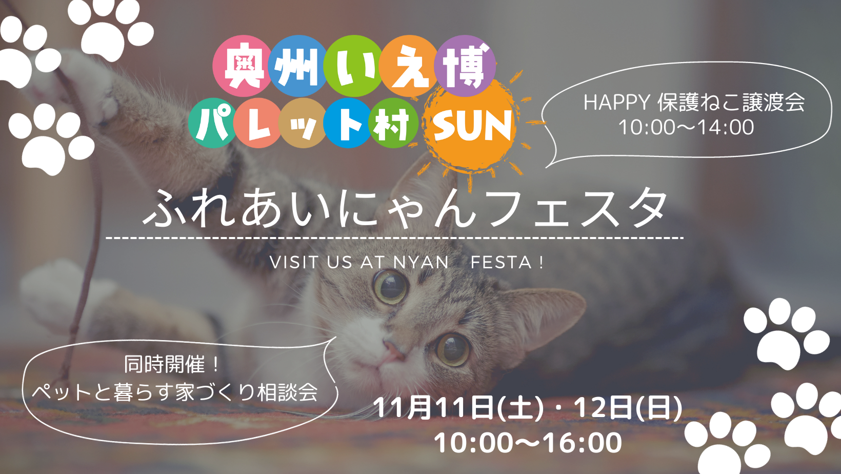 奥州いえ博パレット村SUN　ふれあいにゃんフェスタ アイキャッチ画像