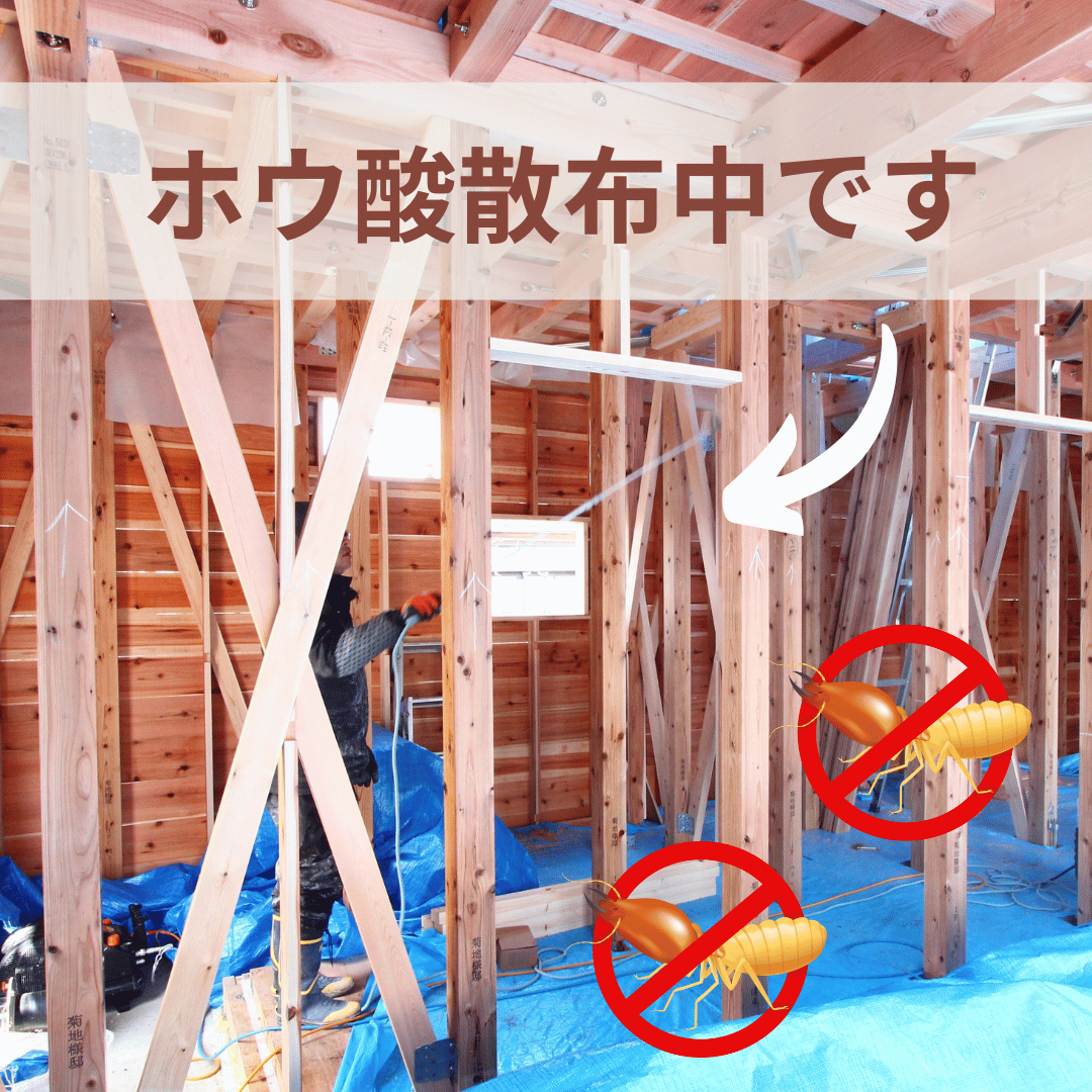 シロアリ駆除にいくらかかるんですか? 画像