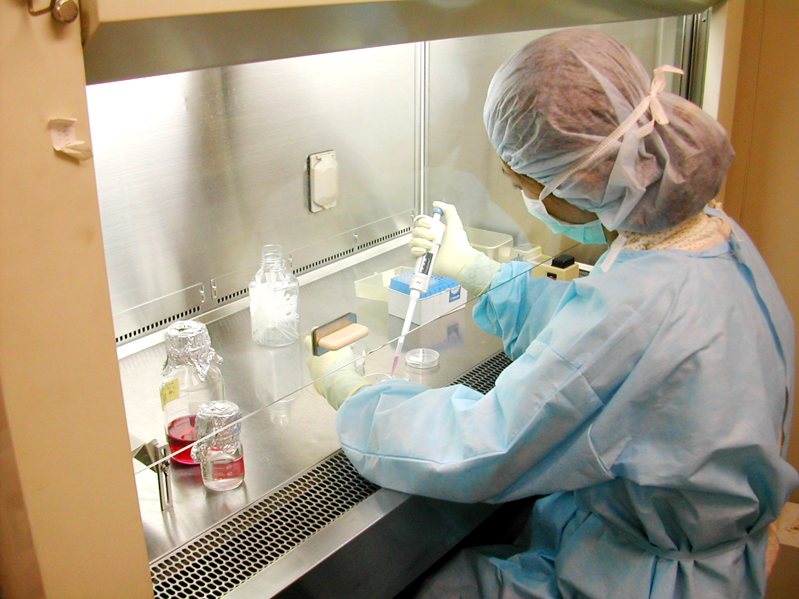 漆喰　VS　ウイルス 画像