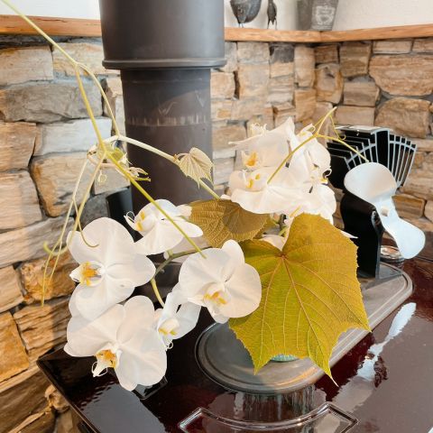 夏休みが明けました！ アイキャッチ画像