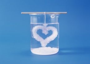 シロアリにはホウ酸 アイキャッチ画像