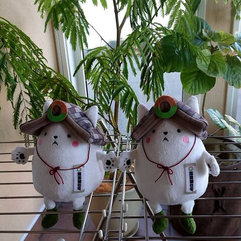 むてんくん アイキャッチ画像