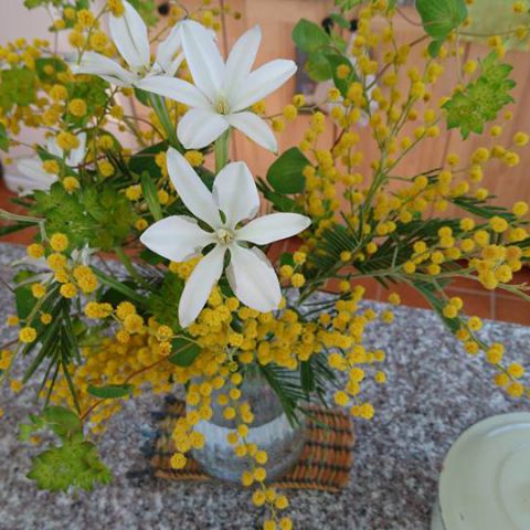 北上コンクオープンハウスお知らせ♬ アイキャッチ画像