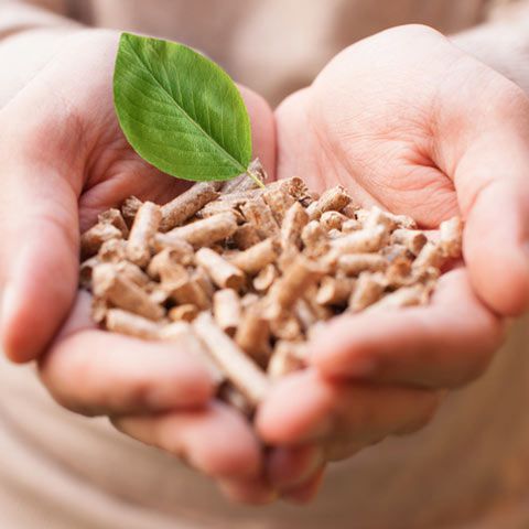 先日の薪ストーブの次は…ペレットストーブのお話し アイキャッチ画像