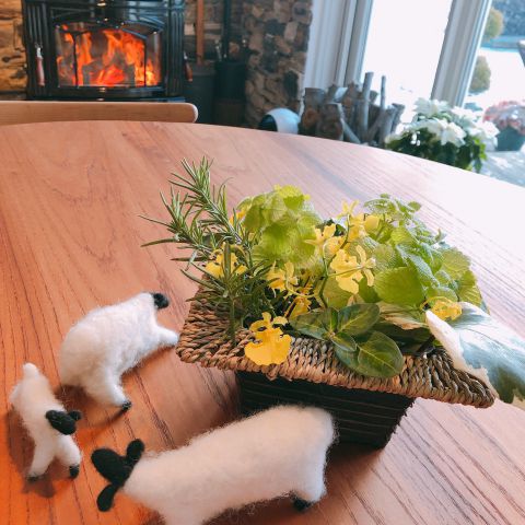 賑やかな家づくり相談会でした！ アイキャッチ画像