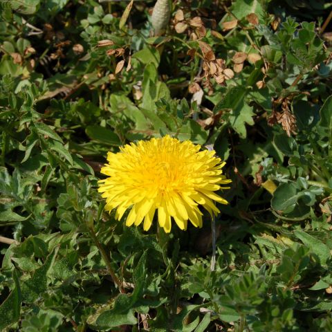 北上コンクオープンハウスからのお知らせ アイキャッチ画像