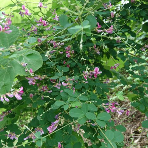 北上コンクオープンハウスイベントご案内 アイキャッチ画像