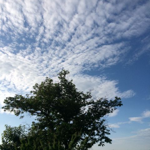 青い空が広がってくれました！ アイキャッチ画像