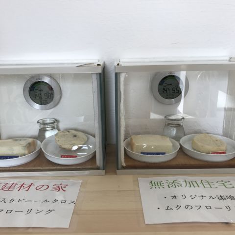 今月のイベントについて アイキャッチ画像