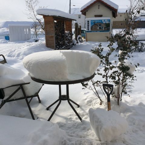 真っ白です！ アイキャッチ画像