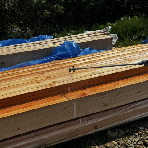 新入社員さやブログ⑤　「ボロンDeガードってなに？」 アイキャッチ画像