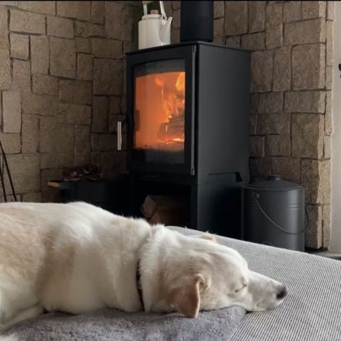 漆喰と無垢材の自然素材と薪ストーブが心地よいです アイキャッチ画像