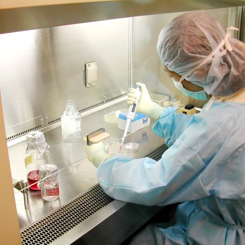 漆喰　VS　ウイルス アイキャッチ画像